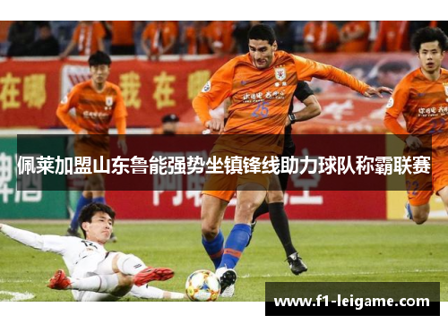 佩莱加盟山东鲁能强势坐镇锋线助力球队称霸联赛 佩莱加盟山东鲁能强势坐镇锋线助力球队称霸联赛